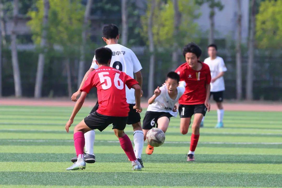 职业化