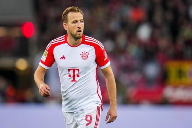 他快速学习 他快速学习