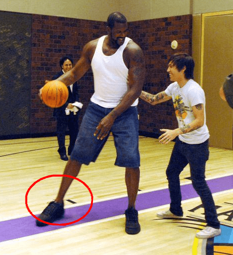 当一支豪门 当一支豪门